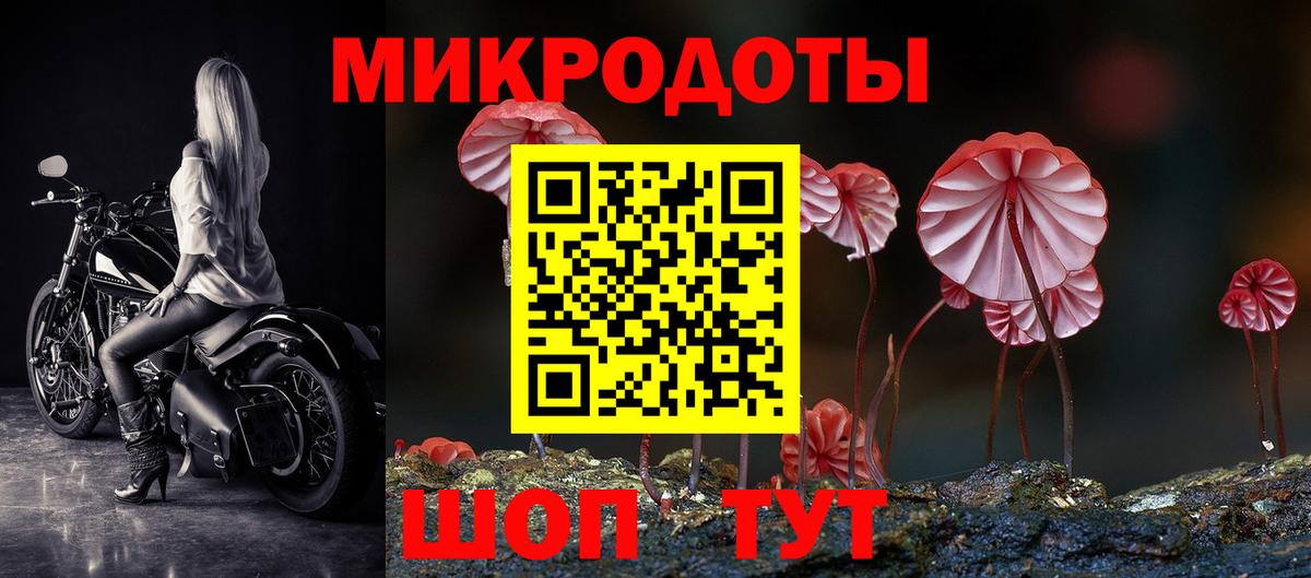 Ачхой-Мартан  Псилоцибиновые грибы Cubensis  Вход с VPN 